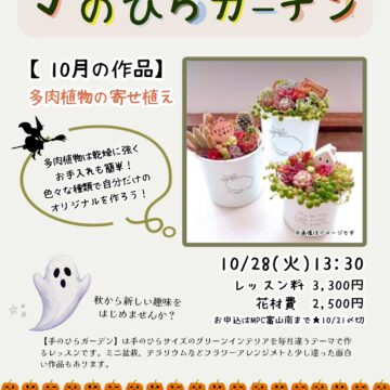 新コース★手のひらガーデン【MPC富山南】グリーン・インテリア